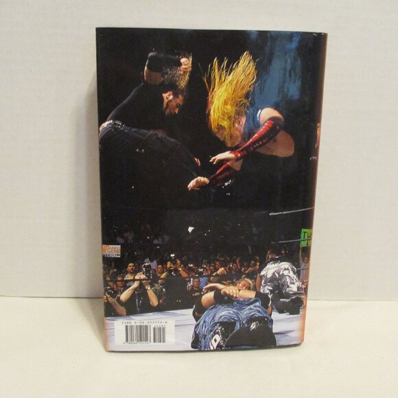 WWE Vintage 2003 Hardy Boys Matt Jeff Hardy Graphic Tag Team WWF Wrestling Book - Picture 2 of 6